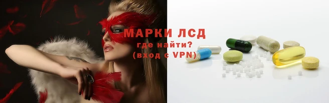 гидропоника Дмитров