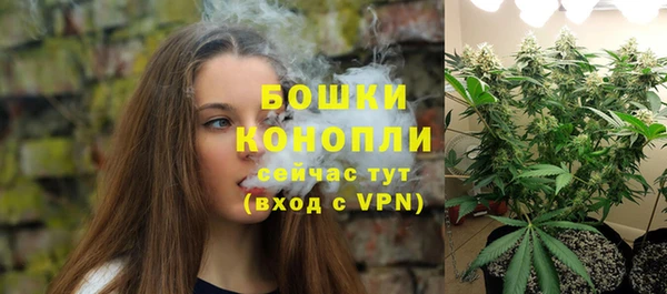 гидропоника Дмитров