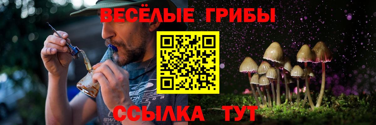 Галлюциногенные грибы GOLDEN TEACHER  Галлюциногенные грибы Psilocybine cubensis  Вход с VPN  Уварово 